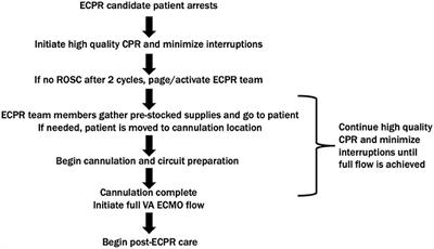 Extracorporeal cardiopulmonary resuscitation in adults and children: A review of literature, published guidelines and pediatric single-center program building experience